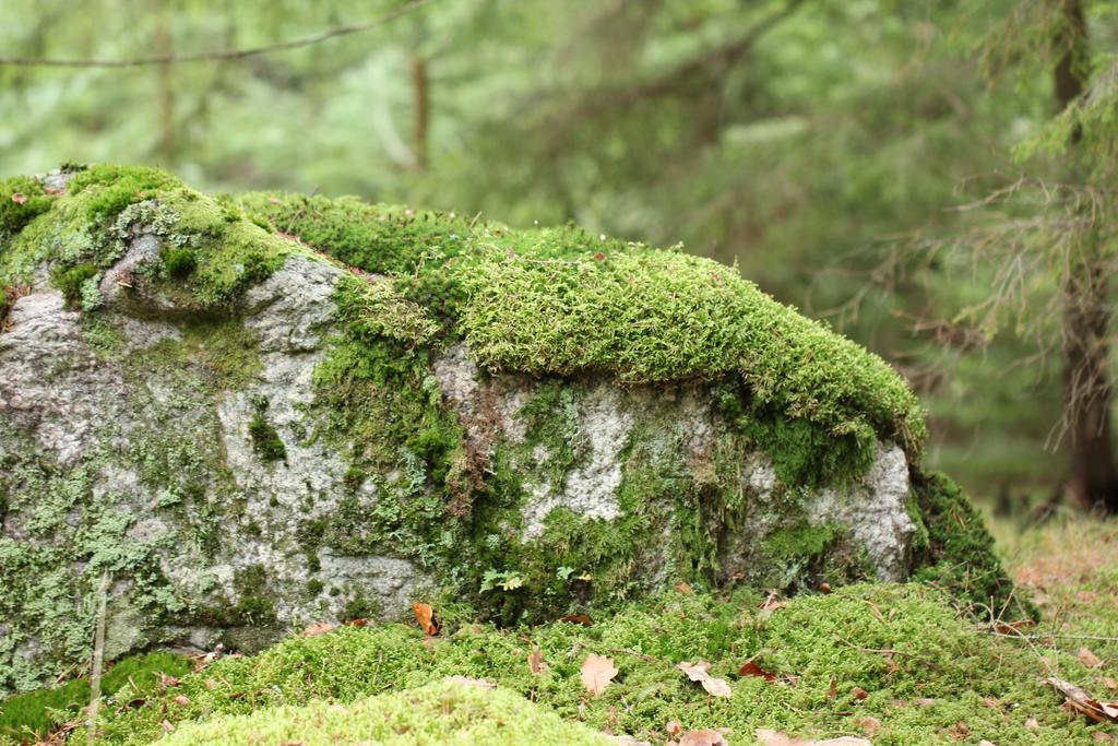 Broby Lille Carlssonヴィラ エクステリア 写真