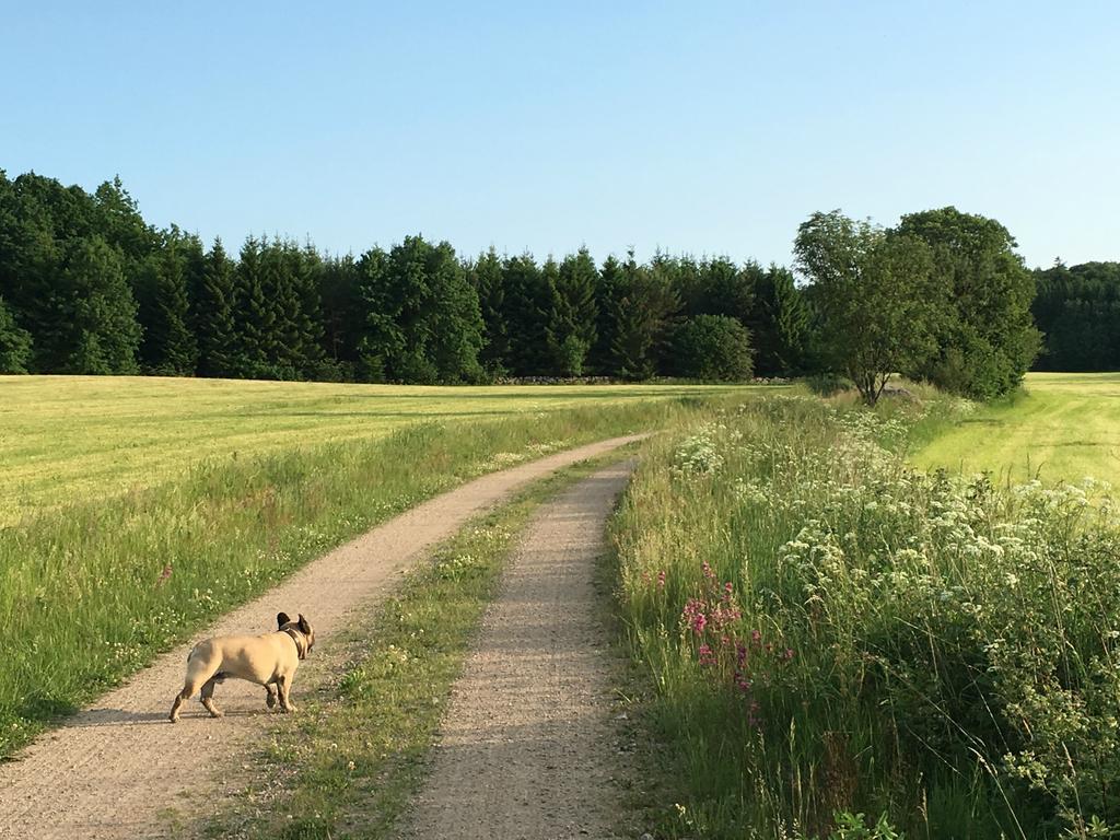 Broby Lille Carlssonヴィラ エクステリア 写真